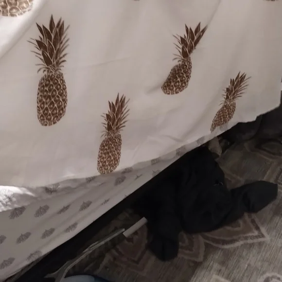 Pineapple with Lace sleeved dress - Picture 4 of 4